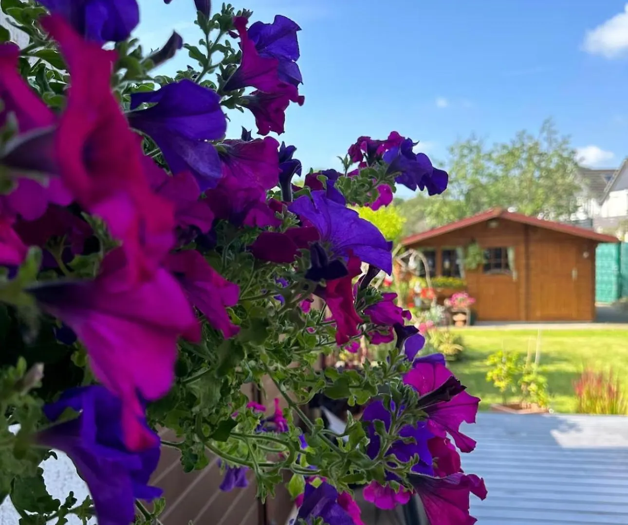 Privatzimmer Bei Renate Am Gruenen See Ratingen
